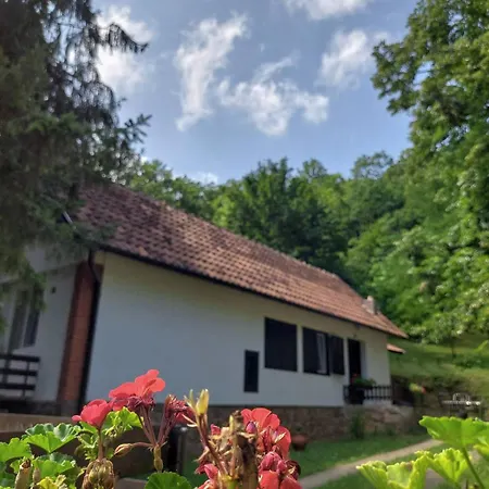 Sapat Sume Holiday home